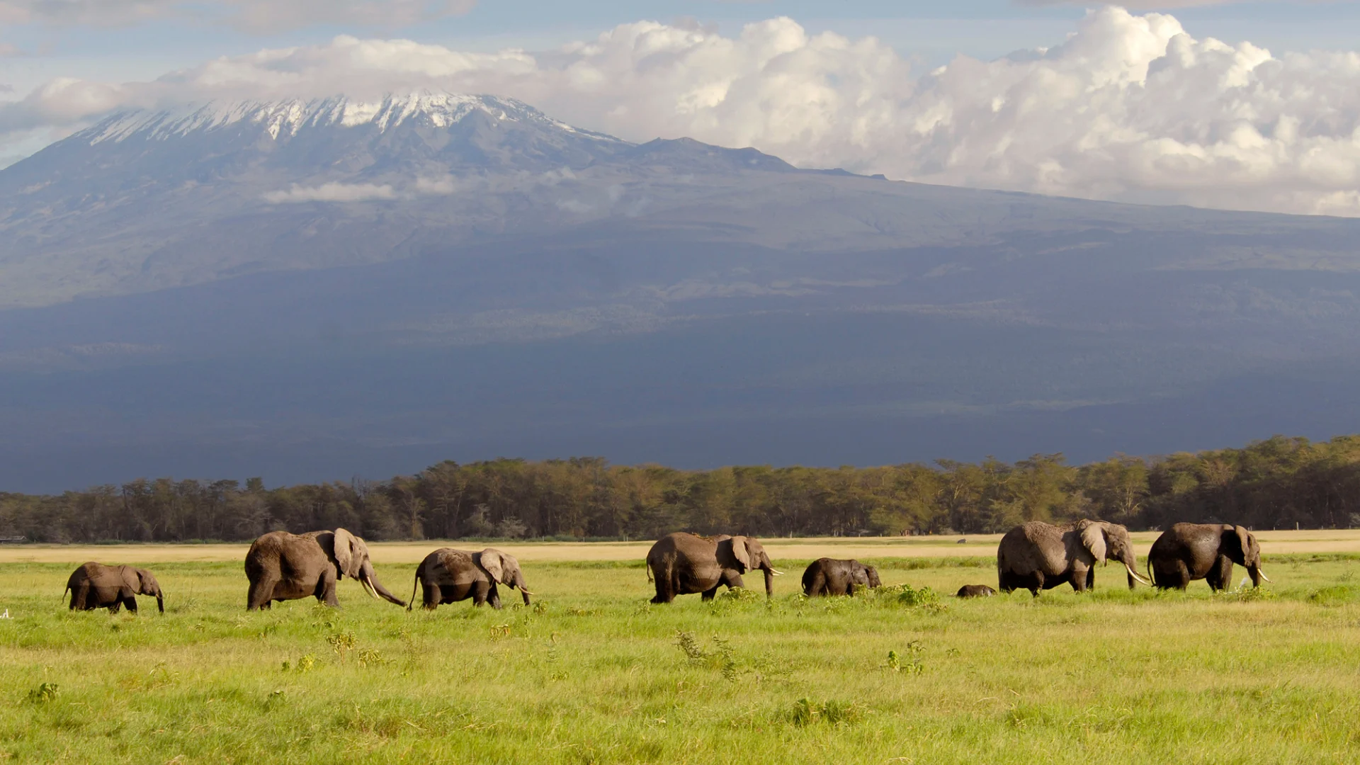Amboseli Lodge Safari
