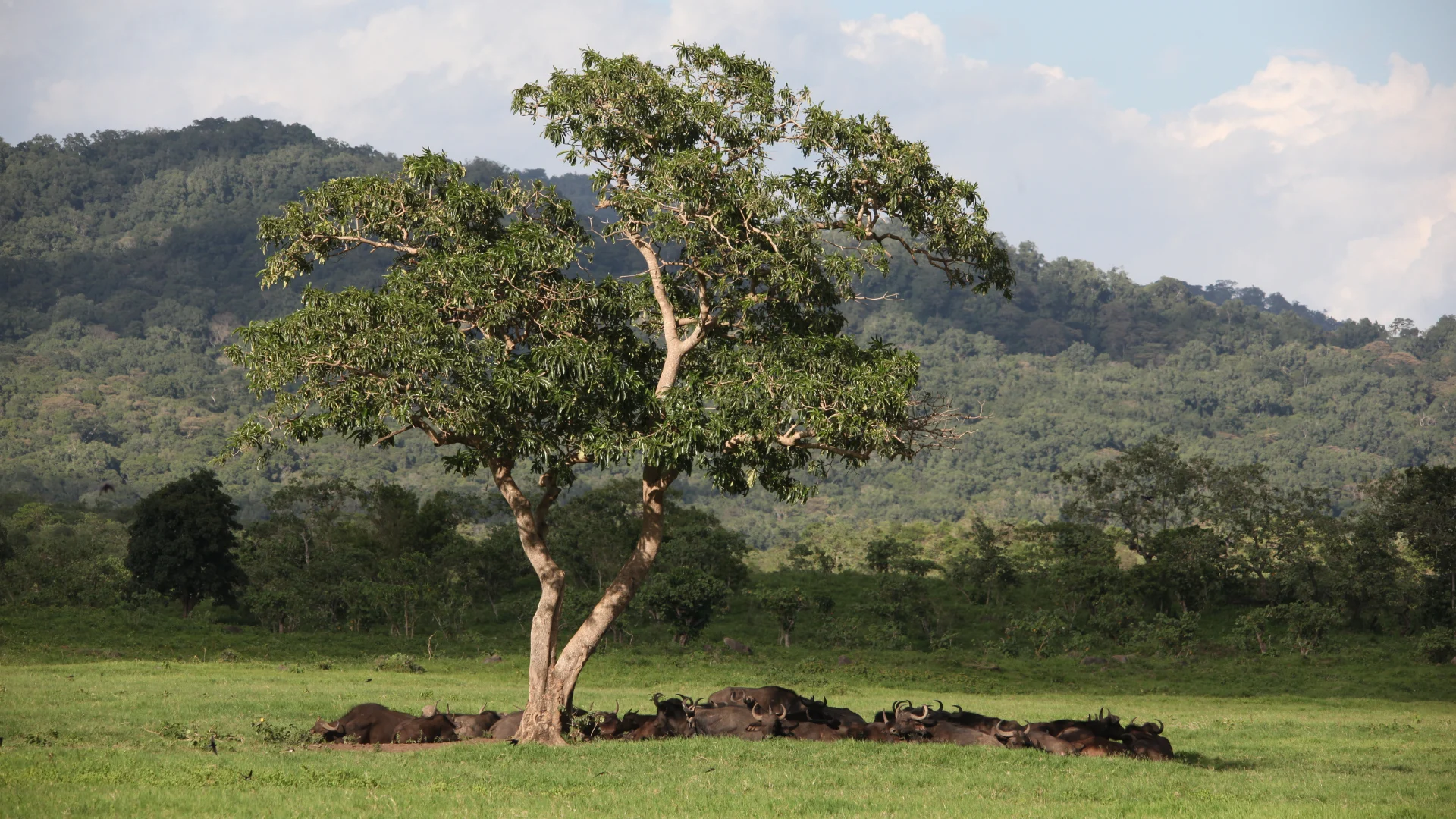 Arusha nationa park 2