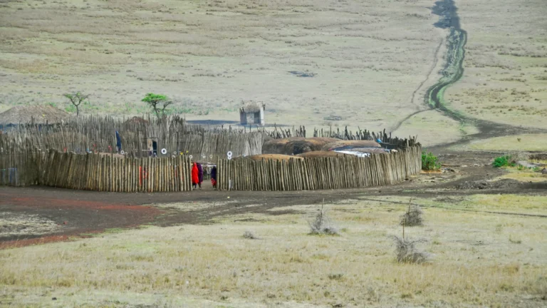 Cultural Tours with the Maasai