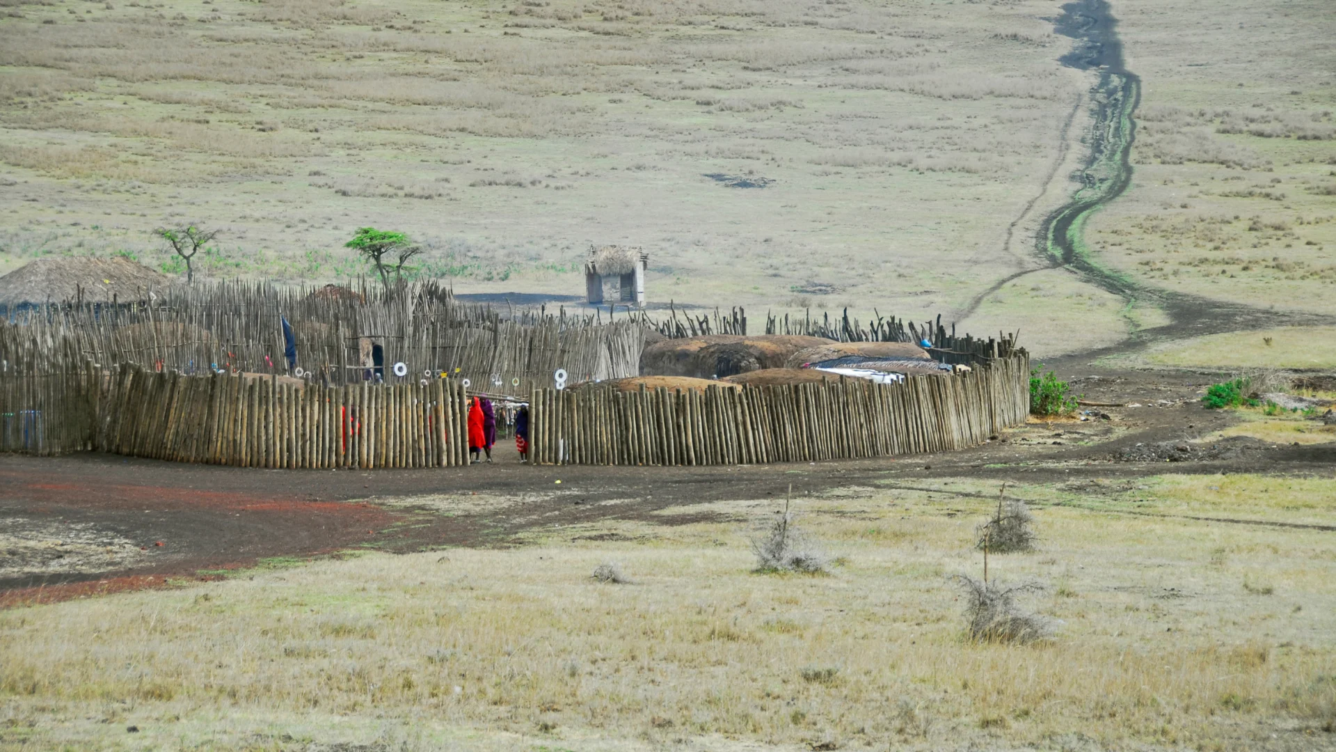 Cultural Tours with the Maasai