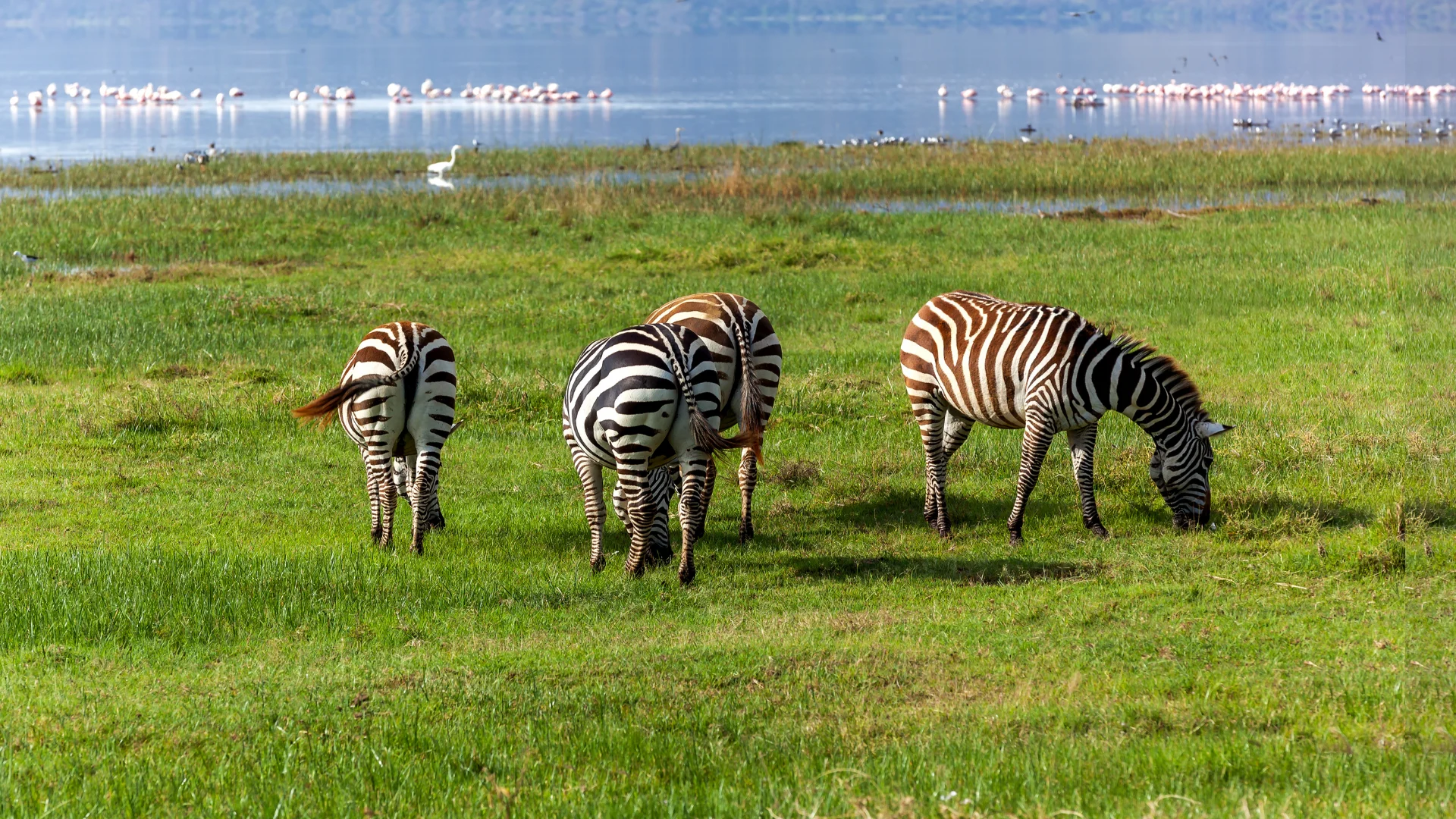 Lake Nakuru