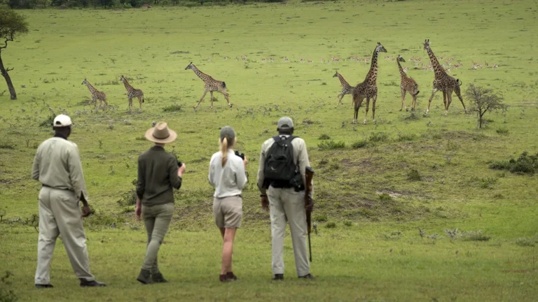 Walking safari Arusha National Park