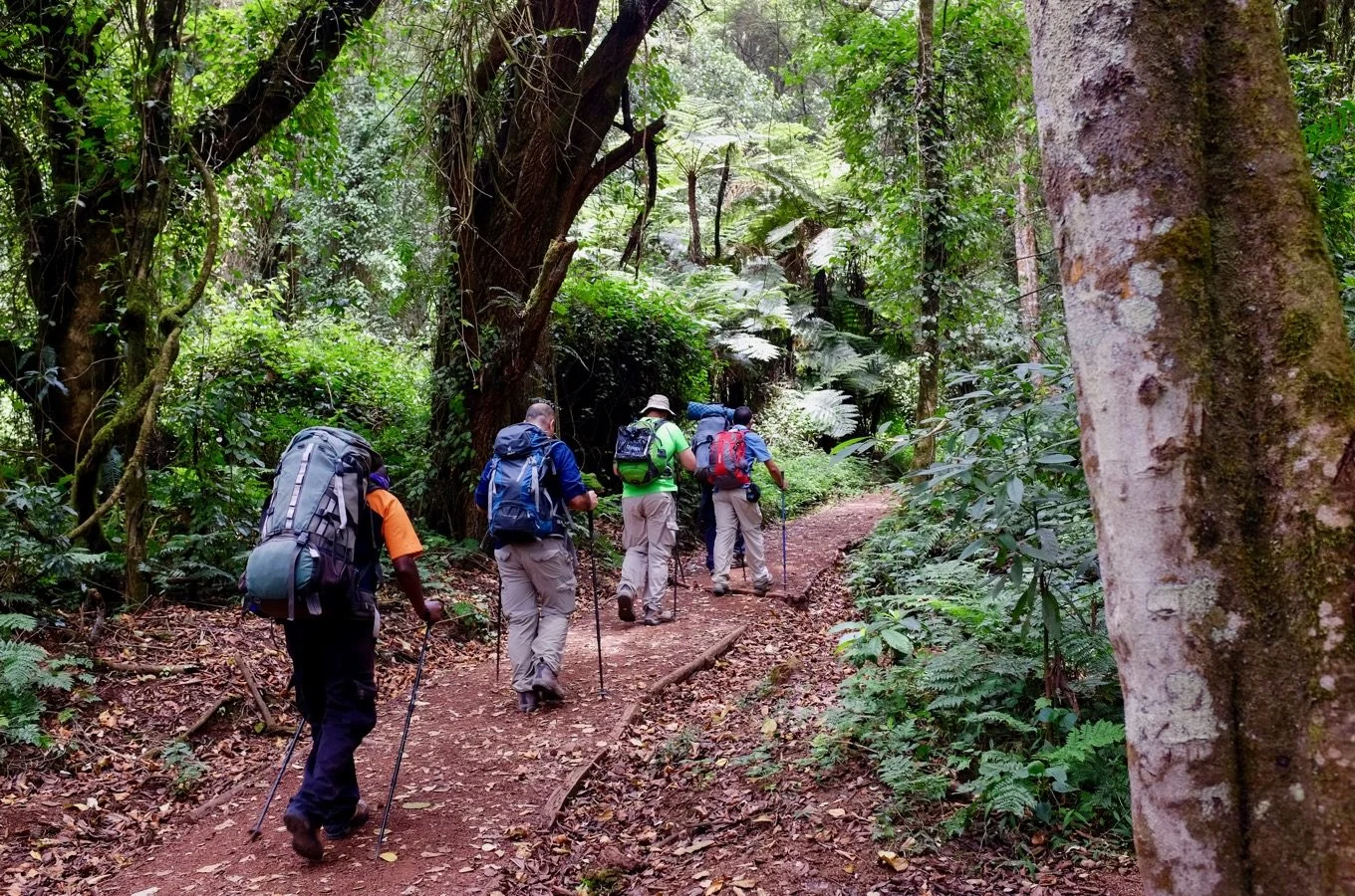 climb kilimanjaro via lemosho route 15 1360x900 1