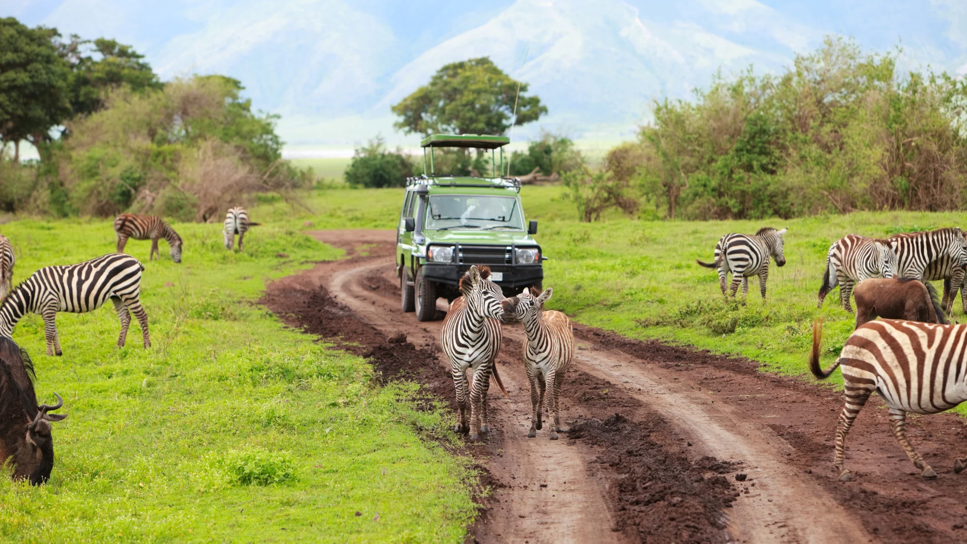 game drive Lake Manyara