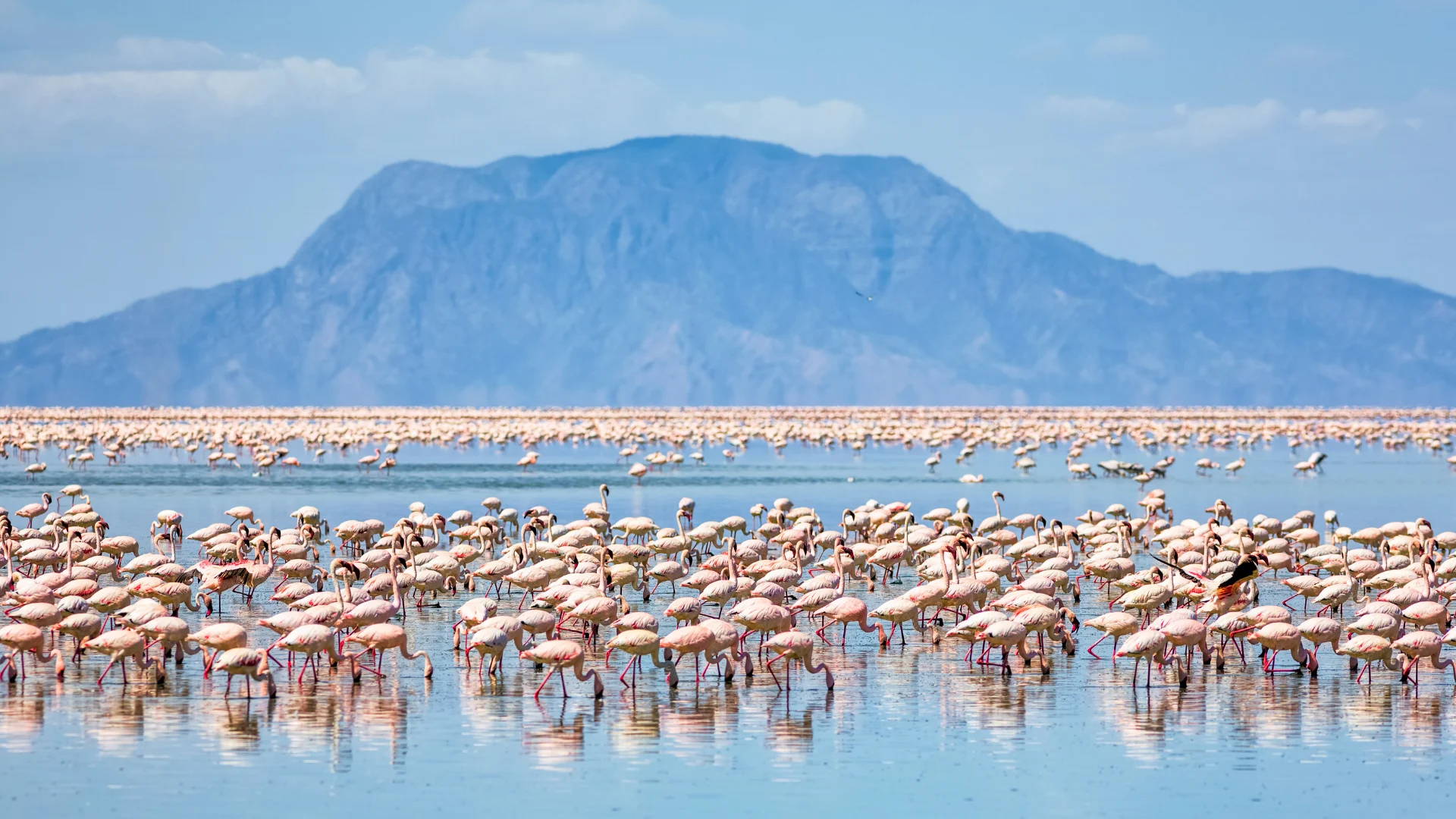 lake natron 3